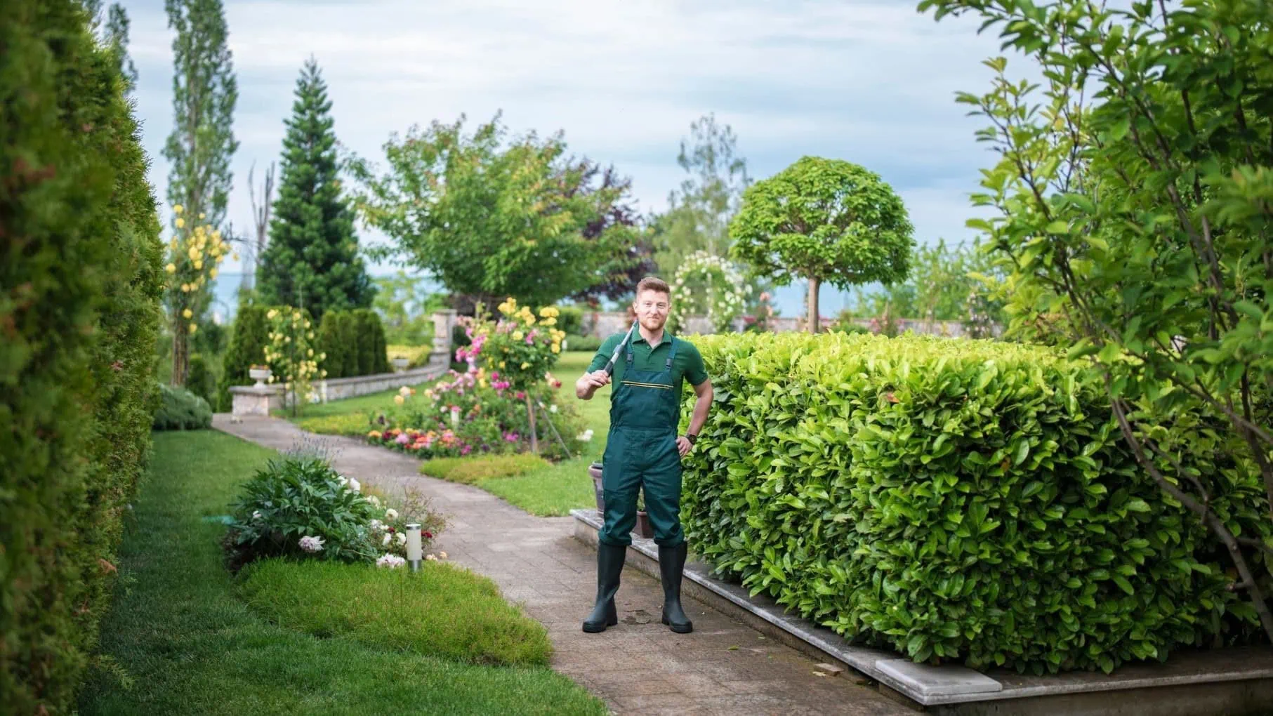 A gardener standing amongst landscaping